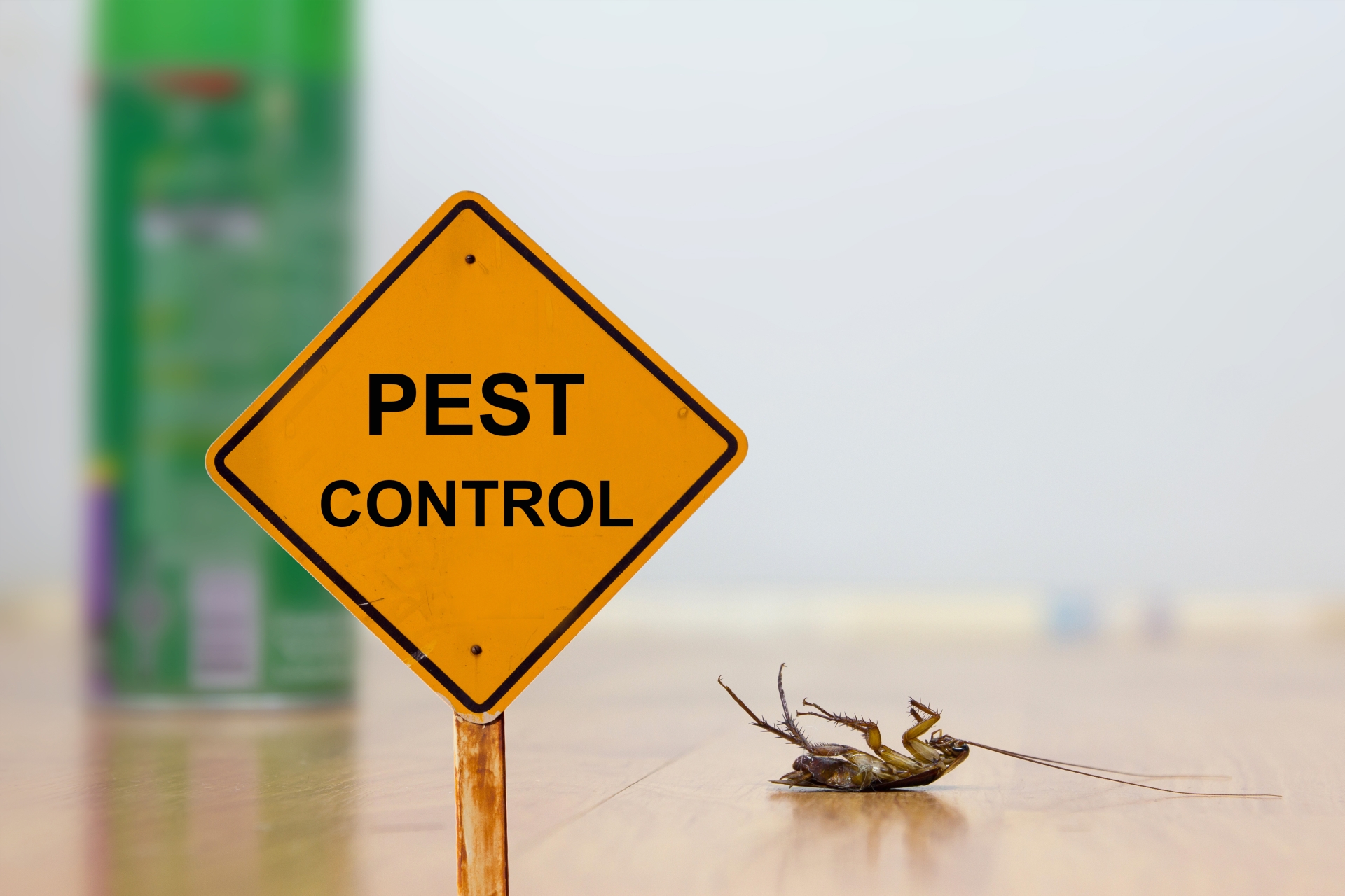 24 Hour Pest Control, Pest Control in Cheshunt, Waltham Cross, EN8. Call Now 020 8166 9746